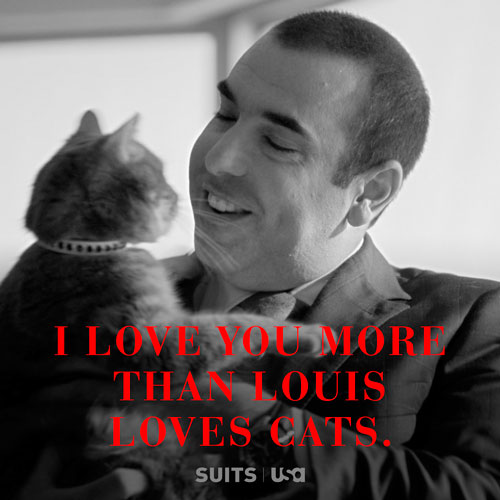 I Love You More Than Louis Loves Cats